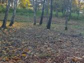 Sodo sklypas