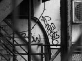 Nikon su 50mm 1.4 - nuotraukos Nr. 19