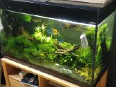 Akvariumas 200 litru - nuotraukos Nr. 3
