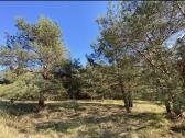 30 a sklypas miško apsuktas, tik 7km nuo Palangos - nuotraukos Nr. 4
