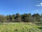 30 a sklypas miško apsuktas, tik 7km nuo Palangos - nuotraukos Nr. 5