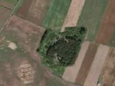 30 a sklypas miško apsuktas, tik 7km nuo Palangos - nuotraukos Nr. 7