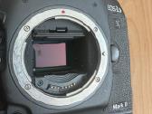 Canon 1dx Mark II - nuotraukos Nr. 12