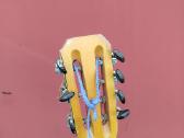 Gitaros,gitaros pedalas - nuotraukos Nr. 35