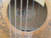 Gitaros,gitaros pedalas - nuotraukos Nr. 36