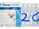 Topas