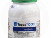 Topas - nuotraukos Nr. 2