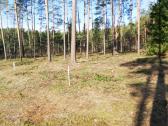 Namų valda prie Nemenčinės - nuotraukos Nr. 5