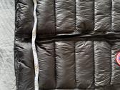 Canada goose liemene L dydis
