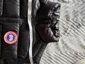 Canada goose liemene L dydis - nuotraukos Nr. 5