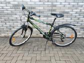 Dviratis Texo XT Rase