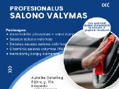 Poliravimas, cheminis automobilio valymas Klaipėda - nuotraukos Nr. 10
