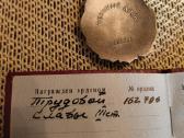 CcCCCP Ordinas Trudovaja Slava 3 Laipsnio. Dokumen - nuotraukos Nr. 6
