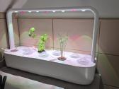 Smart Garden 9 "Click & Grow", Išmanusis sodas - nuotraukos Nr. 3