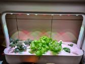 Smart Garden 9 "Click & Grow", Išmanusis sodas - nuotraukos Nr. 4
