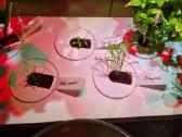 Smart Garden 9 "Click & Grow", Išmanusis sodas - nuotraukos Nr. 6