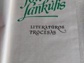 Literatūros procesas - nuotraukos Nr. 2