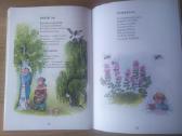 Zenė Sadauskaitė "Lyg varnėnai du po saule" - nuotraukos Nr. 8