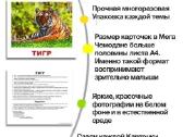 Pilnas Domano kortelių rinkinys rusų kalba: Vaikas - nuotraukos Nr. 3