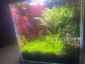 Akvariumo komplektas