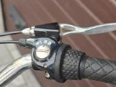 Panther Beach Cruiser dviratis - nuotraukos Nr. 4