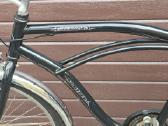 Panther Beach Cruiser dviratis - nuotraukos Nr. 2