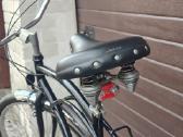 Panther Beach Cruiser dviratis - nuotraukos Nr. 3
