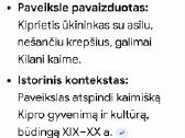 Paveikslas - nuotraukos Nr. 4