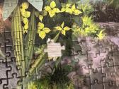 Trefl puzzle - nuotraukos Nr. 2