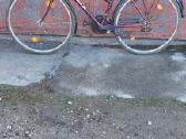 Transportas