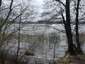 Parduodami trys sklypai - nuotraukos Nr. 6