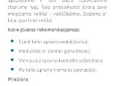 Kojos kelio įtvaras , langėtė - nuotraukos Nr. 2