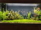 Parduodu Aquael akvariumą, 260l - nuotraukos Nr. 3
