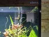 Parduodu Aquael akvariumą, 260l - nuotraukos Nr. 7
