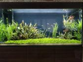Parduodu Aquael akvariumą, 260l - nuotraukos Nr. 8
