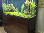 Parduodu Aquael akvariumą, 260l - nuotraukos Nr. 9