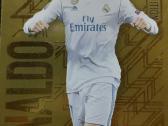 Match Attax korteles - nuotraukos Nr. 6