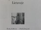 Katalogas - Lietuvos auksakalystė XV - XIX amž. - nuotraukos Nr. 24