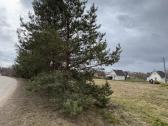 Sklypas sodų bendrijoje “stiklas 8,5 aro - nuotraukos Nr. 4