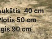 Prabangus naturalios Akacijos medienos - nuotraukos Nr. 5