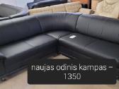 Miegamas Naujas Vokiškas odinis kampas - nuotraukos Nr. 14