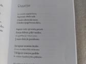 Grįžtu iš ilgesio sodų - nuotraukos Nr. 5