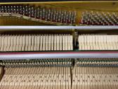 Grotrian Steinweg mod. 110 Vokietija Renner 1990 m - nuotraukos Nr. 7