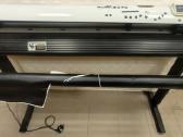 Ploteris 128 cm