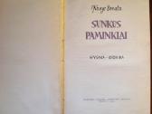 Kazys Borūta "Sunkūs paminklai". - nuotraukos Nr. 2