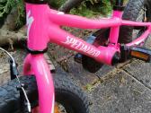 Specialized Riprock 12