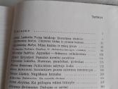 Šiuolaikinės prozos problemos - nuotraukos Nr. 4