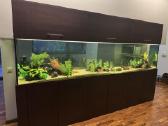 Didelis akvariumas -keturių pusių - apie 1000 l