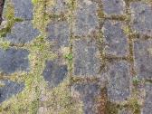 Profesionalus trinkelių, fasadų ir stogų plovimas - nuotraukos Nr. 5