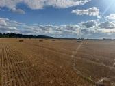 Parduodami šiaudai, šienainis ir kukurūzų silosas - nuotraukos Nr. 3